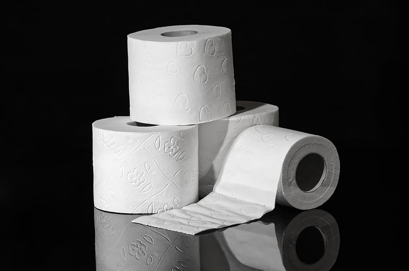 Cardboard Tube Organizer